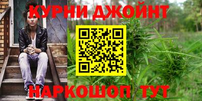 дмт Бердск