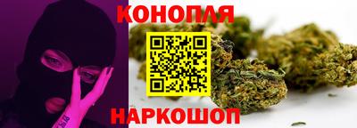 дмт Бердск