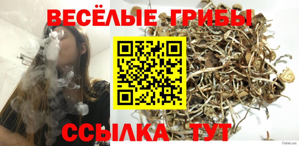Галлюциногенные грибы прущие грибы  Вход с VPN  Анапа  Галлюциногенные грибы мицелий 