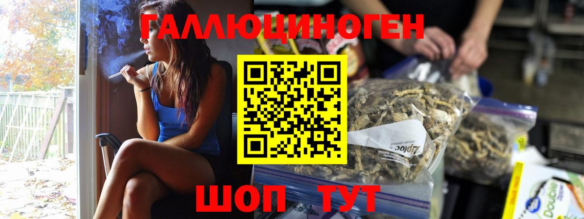 Псилоцибиновые грибы мицелий Анапа